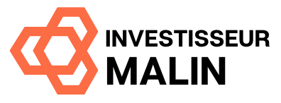 Investisseur malin logo